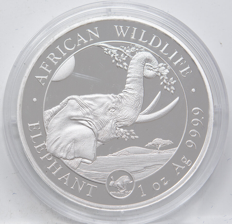 Somalia Shillings Elefant Privy Hase