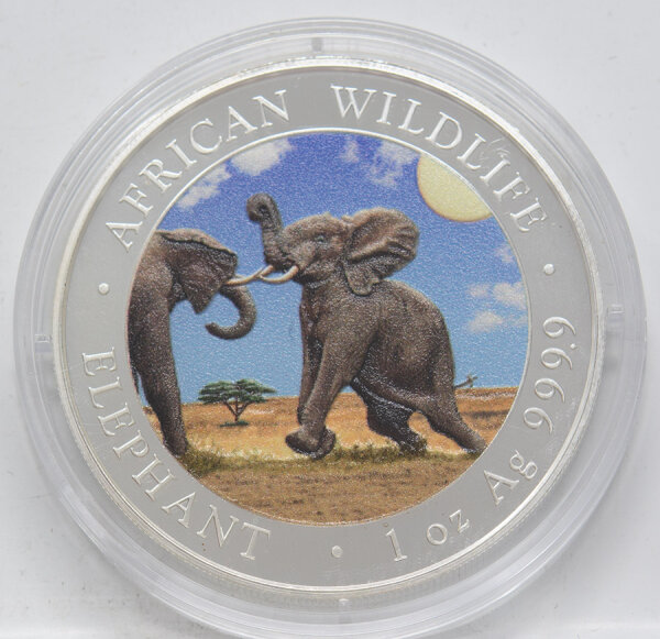 Somalia 100 Shilling 2024 - Elefant  - coloriert