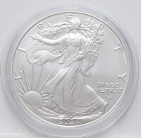 USA 1 Dollar 2024 - Silver - Eagle 1 oz. Silber*