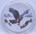 Kongo 20 Francs 2024 - World´s Wildlife - Peregrine Falcon - Wanderfalke - coloriert