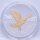 Kongo 20 Francs 2024 - World´s Wildlife - Peregrine Falcon - Wanderfalke - vergoldet