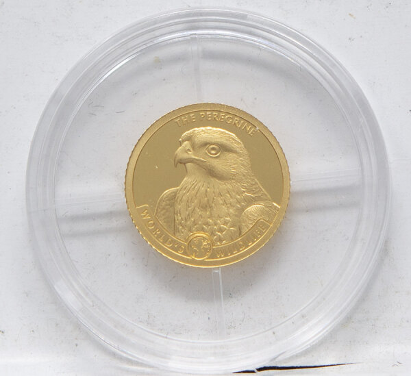 Kongo 10 Francs 2024 - World´s Wildlife Serie - Peregrine Falcon - Wanderfalke - 0,5 g Gold