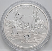 Kanada 30 Dollar 2024 - Multifaceted Animal Family - Wolves*