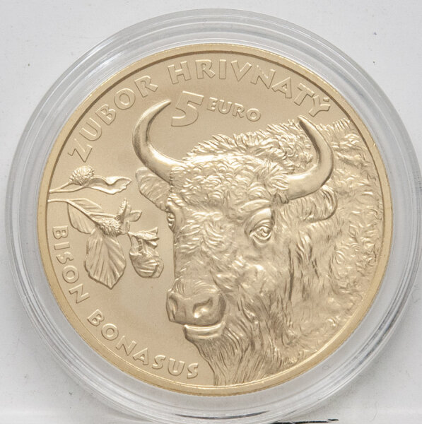 Slowakei 5 Euro 2024 - Bison