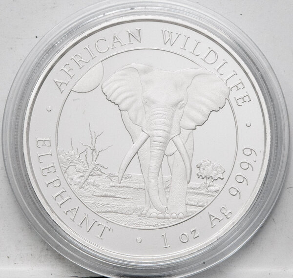 Somalia 100 Shilling 2025 - Elefant  - 1 Unze Silber