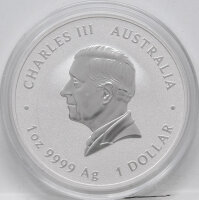 Australien 1 Dollar 2025 - Lunar III - Jahr der Schlange...