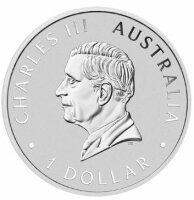 Australien 1 Dollar 2024 - Brumby - 1oz*