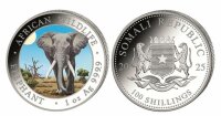 Somalia 100 Shilling 2025 - Elefant  - coloriert