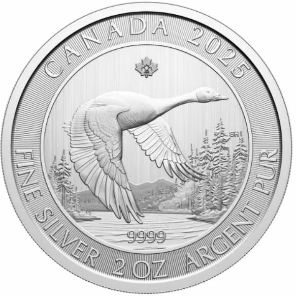 Kanada 10 Dollar 2025 - Goose - 2 oz