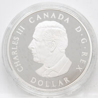 Kanada 1 Dollar 2025 - Peace Dollar - Ultra High Relief - proof