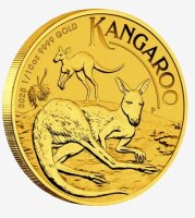 Australien 15 Dollar 2025 - Känguru - 1/10 oz. Gold