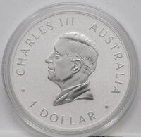 Australien 1 Dollar 2024 - Coin Expo Peking - Koala (privy Panda)