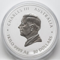 Australien 30 Dollar 2025 - Lunar III - Jahr der Schlange - 1 kg mit Gold Privy Mark