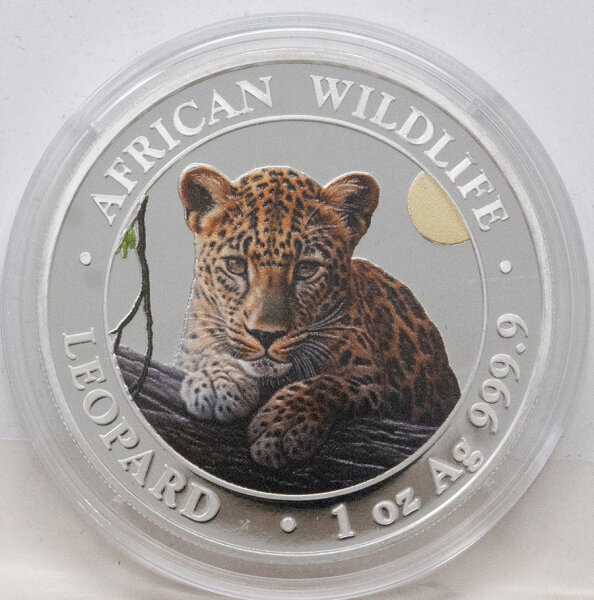 Somalia 100 Shilling 2025 - Leopard - coloriert