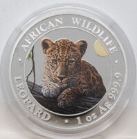 Somalia 100 Shilling 2025 - Leopard - coloriert