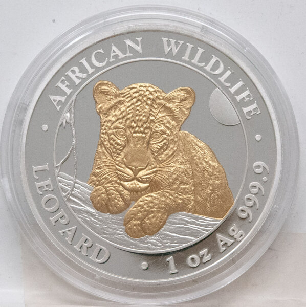 Somalia 100 Shilling 2025 - Leopard - vergoldet