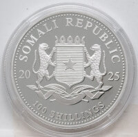 Somalia 100 Shilling 2025 - Leopard - vergoldet