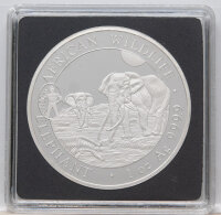 Somalia 100 shillings 2025 - Elefant - Privy - ANA Oklahoma