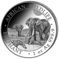 Somalia 2026 African Wildlife Elephant Silbermünze 1...