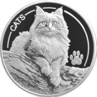Fiji Cats 2025 Silbermünze 1 Unze, Prooflike,...
